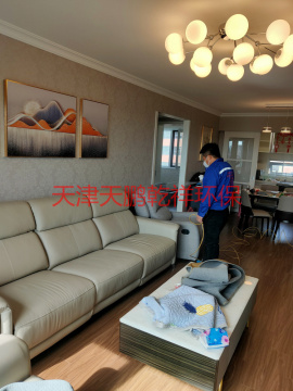 津南区公园里朗逸花园9号楼室内空气治理